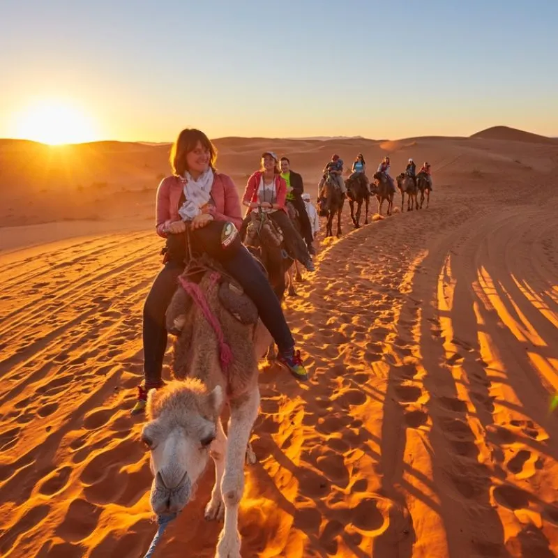 Camel Riding